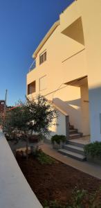 Apartments Mondo