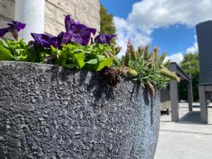 Vakantiebungalow Mee naar Ouddorp aan zee