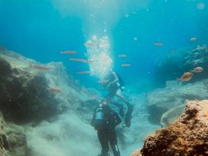 Dive Guest House Rethymno Greece