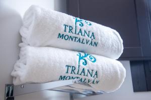 HOTEL TRIANA MONTALVAN