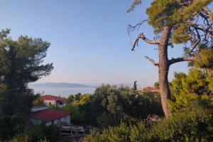 Pines seaview cottage Aegina Greece