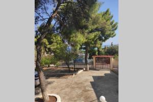 Pines seaview cottage Aegina Greece