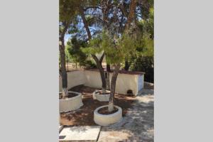 Pines seaview cottage Aegina Greece