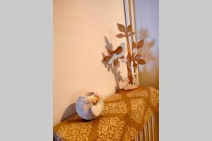 Pines seaview cottage Aegina Greece