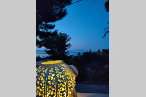 Pines seaview cottage Aegina Greece