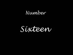 Number Sixteen - Coundon