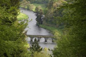 The Jerpoint Apartment