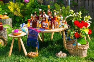 Casa de vacanta Marya