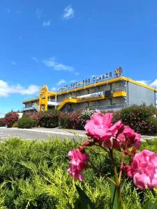 南佩尼皮昂普瑞米尔经典酒店 - 蒂伊