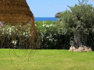 BiniFa  Lovely luxury villa few steps from the sea