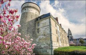 Appartements Appart´choisille : photos des chambres