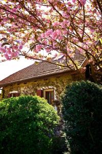 Ferienapartments Gutshof Brandis