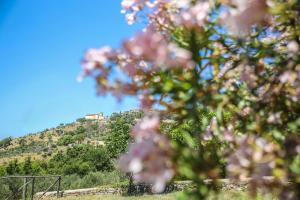 B&B La Residenza Torchiara