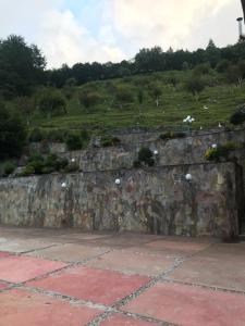 Cabañas 5 Pinos