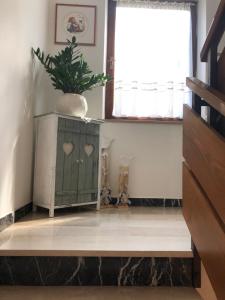 Appartamento Primiero San Martino di Castrozza