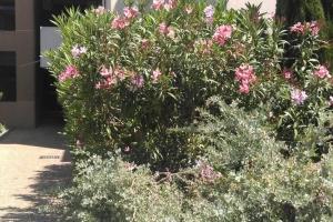 Particulier loue T3 en rez de jardin à 30 mètres de la plage avec un double box