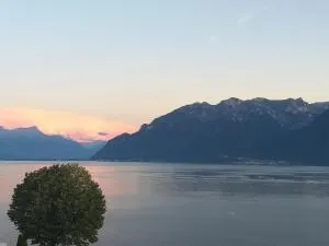 La Gremillette Gourmande Lavaux - Cully