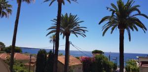 Cannes Les Pins