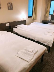 Business Hotel Sunpu - 2hvězdičkové hotely ve městě Šizuoka