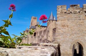 Maisons de vacances Gite Histoire de Miel : photos des chambres