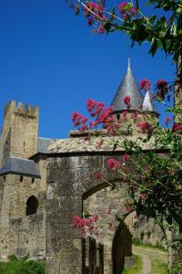 Maisons de vacances Gite Histoire de Miel : photos des chambres