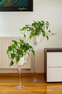 Bright 2-Bed Apartment Free Parking & WiFi - Walk to Old Town