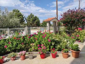 Villa Anastasia Kavala Greece