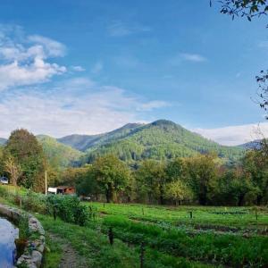 Le Gîte - La Ferme du Pouget