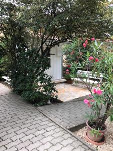 Szem-s Üdülő és Lakópark a Szem-s Vendégház új neve