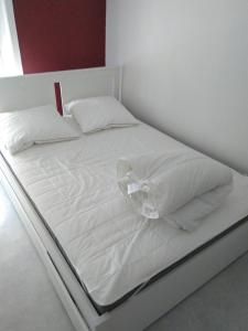Appartement hypercentre au 2ème, ZOO - 24h du Mans