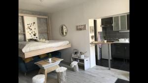 Appartements Joli studio SCANDINAVE : photos des chambres
