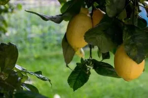 Casa del Sole - San Salvatore