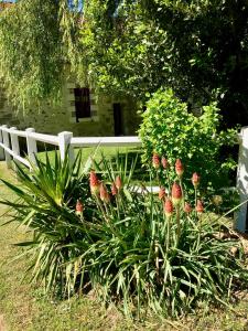 Maisons de vacances Gite de l'Homme Blanc : photos des chambres