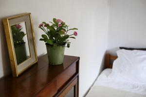 Hotels Les Oiseaux de Passage : Chambre Familiale