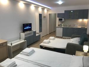 Студио Сънрайз А28, Лозенец