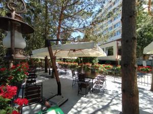 Hotel Germisara