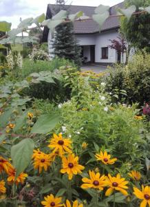 Apartament Leszczynowa 7 blisko Zatora