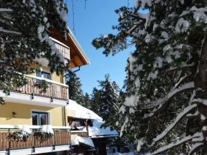 Apartmán Almhaus Blümel Turracher Hohe Rakousko