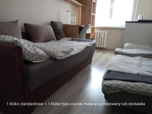 Nowe mieszkanie wakacyjne Reja Toruń 100m UMK