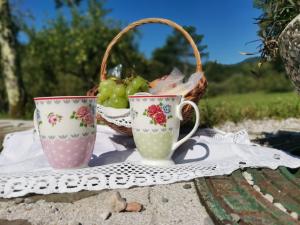 Apartment Lošč - Podbela