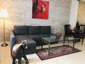 aday - Central cozy and bright apartment