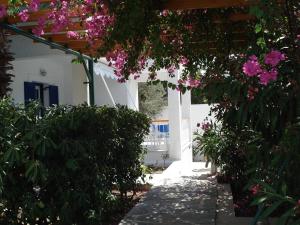 Tatsis Apartments Kalymnos Greece