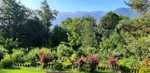 Вила Свети Георги - Oštava