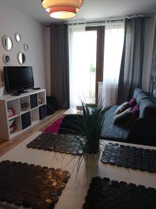 Apartament 79 Kraków centrum