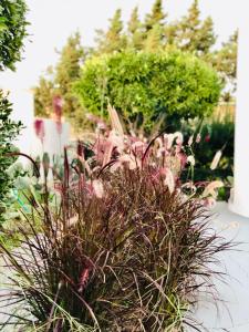 Boutique Art W9 img17