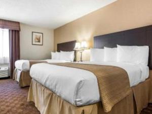 Room #49073905 room in Quality Inn & Suites Coliseum