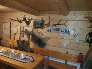 APARTAMENT SZAŁAS BACIARSKI z tarasem i widokim na GÓRY