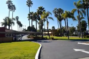 Hotel Palmeras Chula Vista - 纳欣诺市