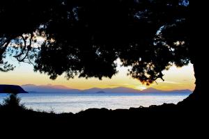 Acacia Lake View Motel