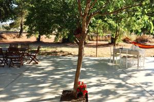 Aura House - Serene and breezy home under pines